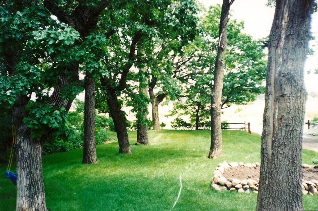 A&L Sod